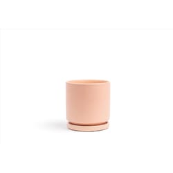 Momma Pots Gemstone Cylinder 6.5 in. W Porcelain Planter Blush