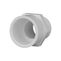 Charlotte Pipe Schedule 40 3/4 in. Slip X 3/4 in. D MPT PVC Pipe Adapter 1 pk