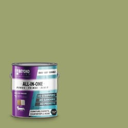 Beyond Paint Matte Sage Water-Based Paint Exterior and Interior 1 gal