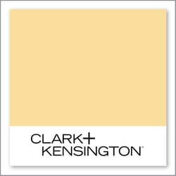 Clark+Kensington Pineapple Mousse 18C-3