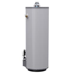Reliance 40 gal 35500 BTU Propane Water Heater