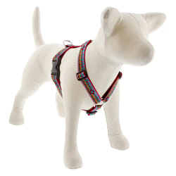 LupinePet Original Designs Multicolored El Paso Nylon Dog Harness