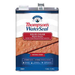 Thompson's WaterSeal Wood Sealer Solid Natural Cedar Waterproofing Wood Stain and Sealer 1 gal