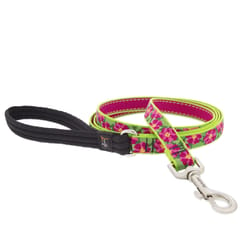 Lupine Pet Original Multicolored Petunias Nylon Dog Leash