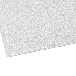 Palram Palclad Pro 96 in. H X 48 in. W Embossed White Wall Panel