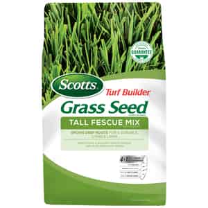 Scotts  Turf Builder  Tall Fescue  Grass Seed  7 lb. 