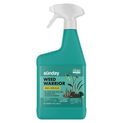 Sunday Weed Warrior Lawn and Weed Spot Weed Killer RTU Liquid 32 oz