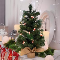 ProductWorks Peanuts Brilliant LED 10 ct String Christmas Lights