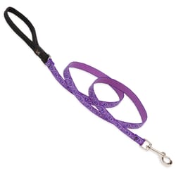 LupinePet Original Designs Multicolor Jelly Roll Nylon Dog Leash