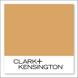 Clark+Kensington Wild Dandelion 17B-6