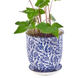 Chive Liberte 3.25 in. D Ceramic Succulent Pot Blue Leaves