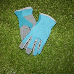 MidWest Quality Gloves Women's Gloves Aqua M 1 pk