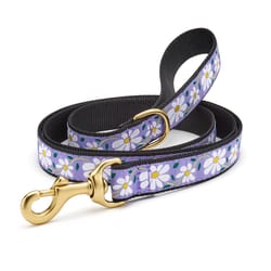 Up Country Purple Daisy Nylon Dog Leash