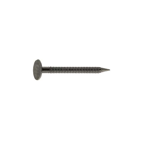 Ace 1-1/2 in. Drywall Bright Steel Nail Flat Head 1 lb