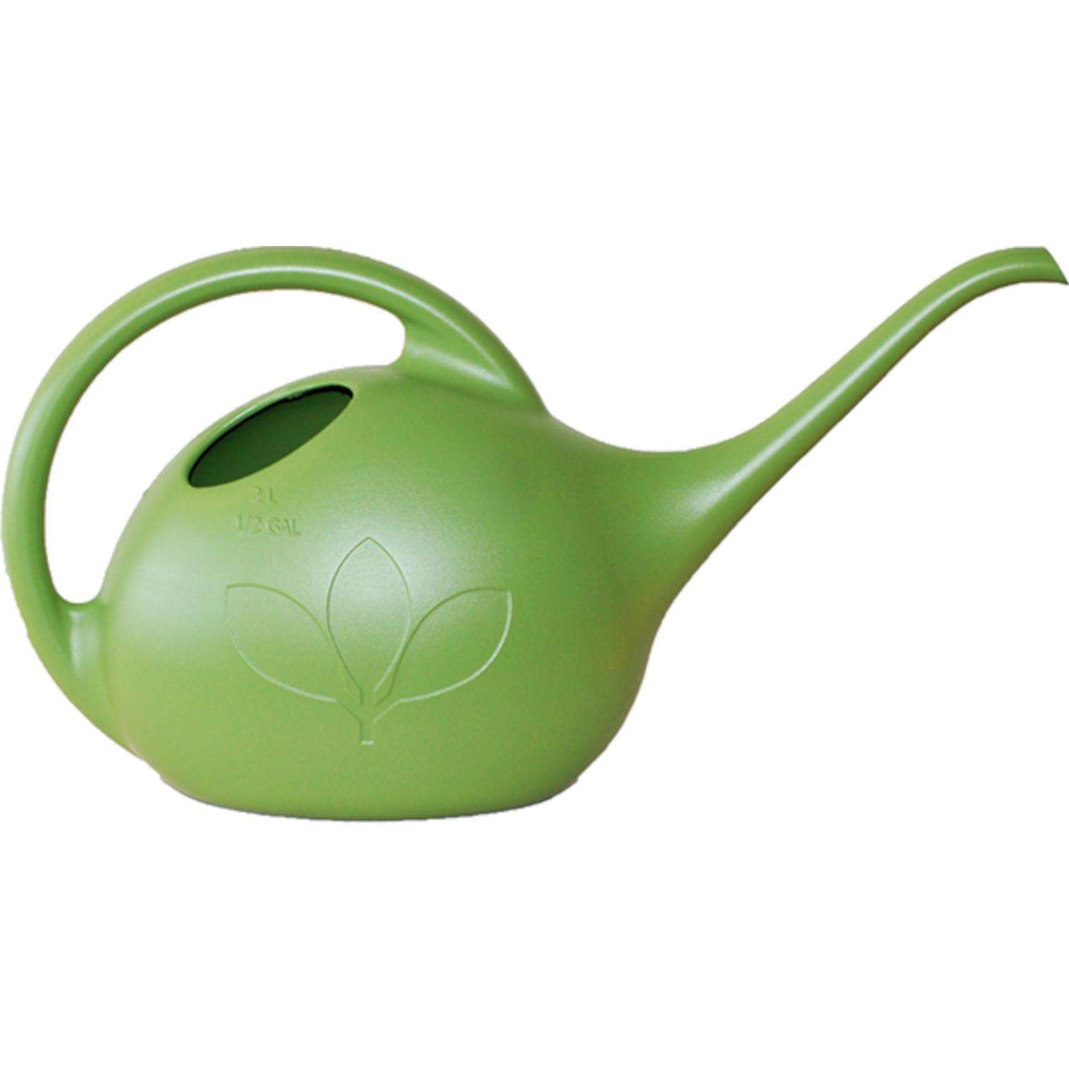 Novelty Green 0.5 gal Plastic Watering Can Ace Hardware