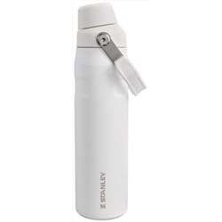 Stanley IceFlow Fast Flow 24 oz Frost BPA Free Insulated Bottle