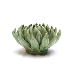 Chive English Garden 2.6 in. H X 5 in. L Glazed Green Ceramic Large Succulent Wall Flower