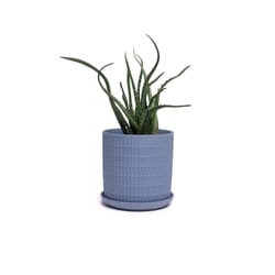 Chive Virago 5 in. D Ceramic Shape A Flower Pot Blue Grey