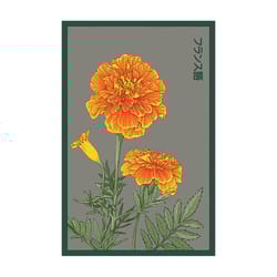 Chive Shido Seed Co. Marigold Seeds 1 pk