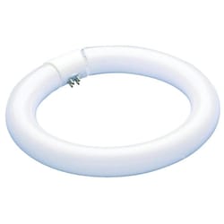 Westinghouse 22 W T9 8 in. L Fluorescent Bulb Cool White Tubular 4100 K 1 pk