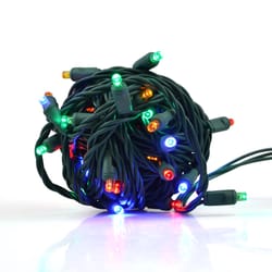 Celebrations LED Grand Mini Multicolored 50 ct String Christmas Lights 25 ft.