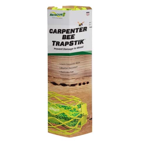 RESCUE TrapStik Insect Trap 1 pk RESCUE TrapStik Insect Trap 1 pk