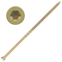 Screw Products EPIC No. 9 X 5 in. L Star Coated Trim Screws 1 lb 50 pk