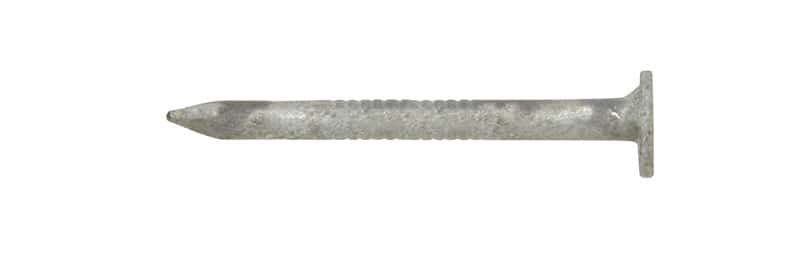 Ace 1-1/2 in. Joist Hanger Hot-Dipped Galvanized Steel Nail Flat Head 5 lb Ace 1-1/2 in. Joist Hanger Hot-Dipped Galvanized Steel Nail Flat Head 5 lb