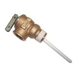 Reliance 3/4 in. MNPT Brass Relief Valve