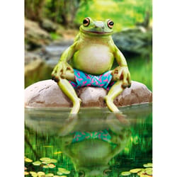 Avanti Seasonal Lounging Pool Frog Father's Day Card Paper 2 pc