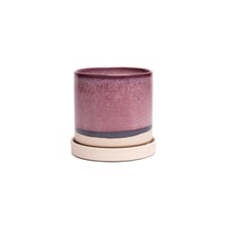 Chive Minute 5 in. D Ceramic Flower Pot Burgundy