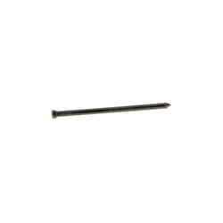 Grip-Rite 8D 2-1/2 in. Finishing Hot-Dipped Galvanized Steel Nail Brad Head 5 lb