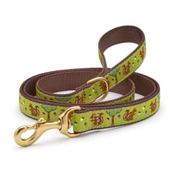 Up Country Green Nuts Nylon Dog Leash