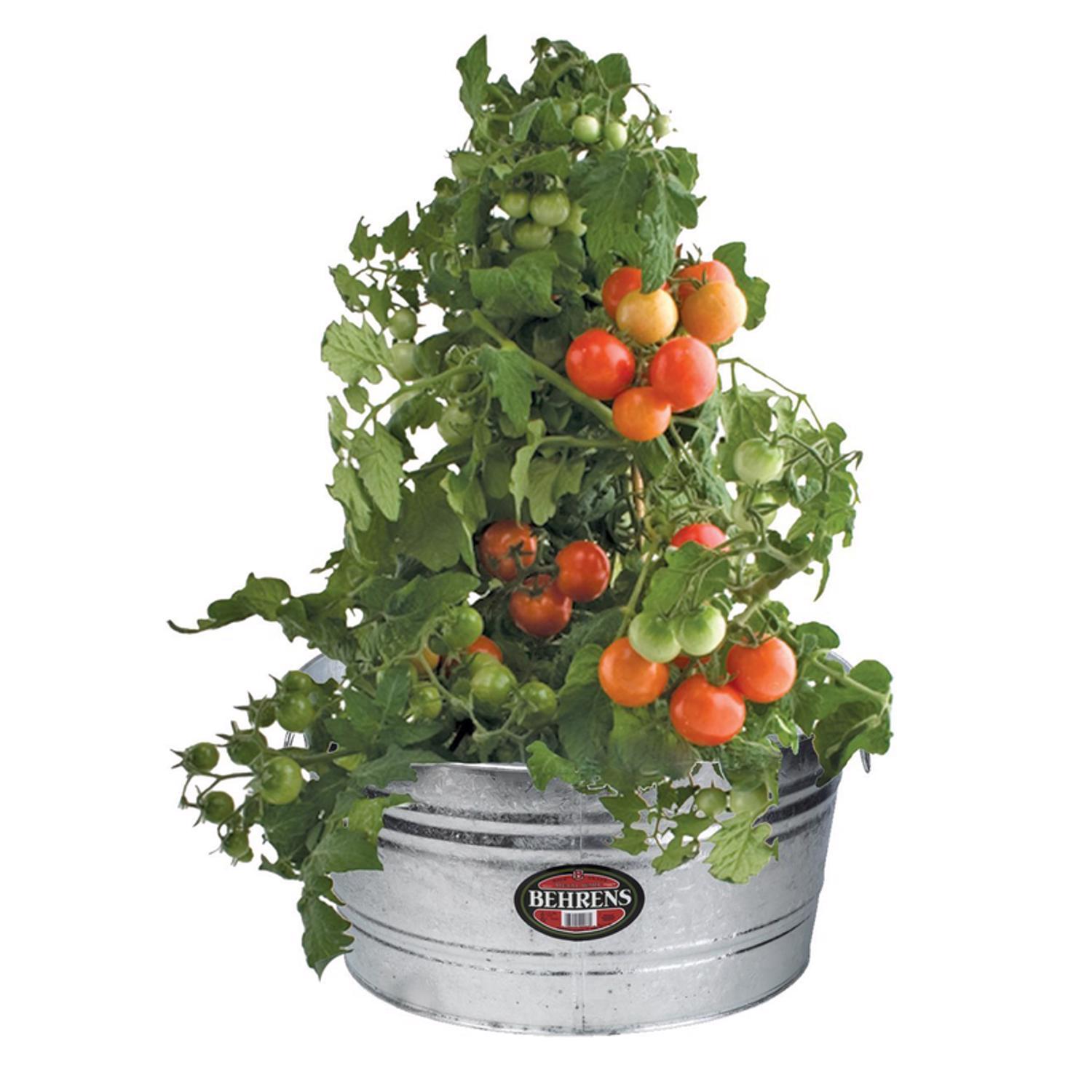 Round & Oval Steel Tubs at Ace Hardware - Ace Hardware