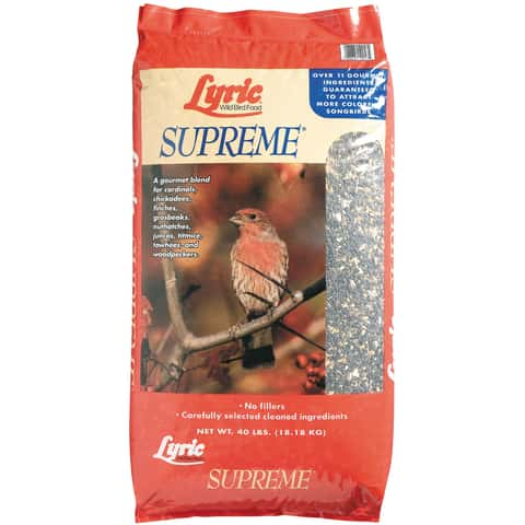  Kaytee Wild Bird Food, 40 Pound : Pet Supplies