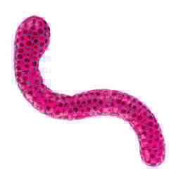 Keycraft Beadz Alive Snake Assorted