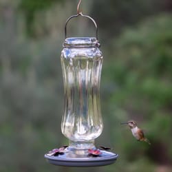 Perky-Pet Hummingbird 16 oz Glass/Metal Nectar Bird Feeder 4 ports