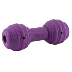 PetSafe Busy Buddy Purple Rubber Chuckle Sound Chew Dog Toy Medium 1 pc