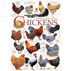 Cobble Hill Chickens Jigsaw Puzzle 1000 pc