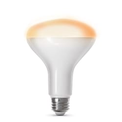 Feit Smart Home BR30 E26 (Medium) Smart-Enabled LED Bulb Soft White 65 Watt Equivalence 1 pk
