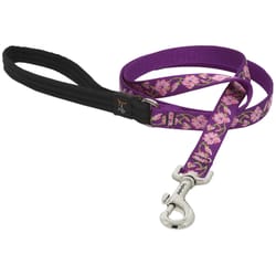 LupinePet Original Designs Multicolor Rose Garden Nylon Dog Leash