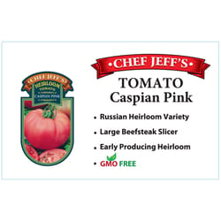 Chef Jeff Pink Heirloom Caspian Tomato Vegetable Plant