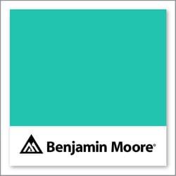 Benjamin Moore Green Sponge 2046-40