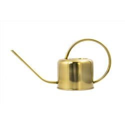 Kikkerland Gold 40 oz Steel Vintage Watering Can