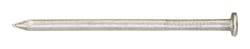 Ace 6D 2 in. Framing Bright Steel Nail Flat Head 1 lb