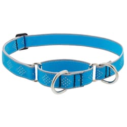 LupinePet HighLights Blue Diamond Nylon Dog Martingale