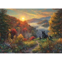 Cobble Hill New Day Jigsaw Puzzle Cardboard 1000 pc