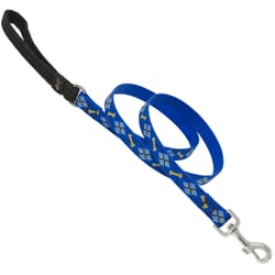 LupinePet Original Designs Multicolor Dapper Dog Nylon Dog Leash