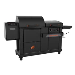 Blackstone 2417 2 Burner Liquid Propane Grill and Smoker Black