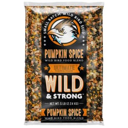 Small Batch Wild & Strong Ultimate Pumpkin Spice Songbird Pumpkin Seed Wild Bird Seed 5 lb